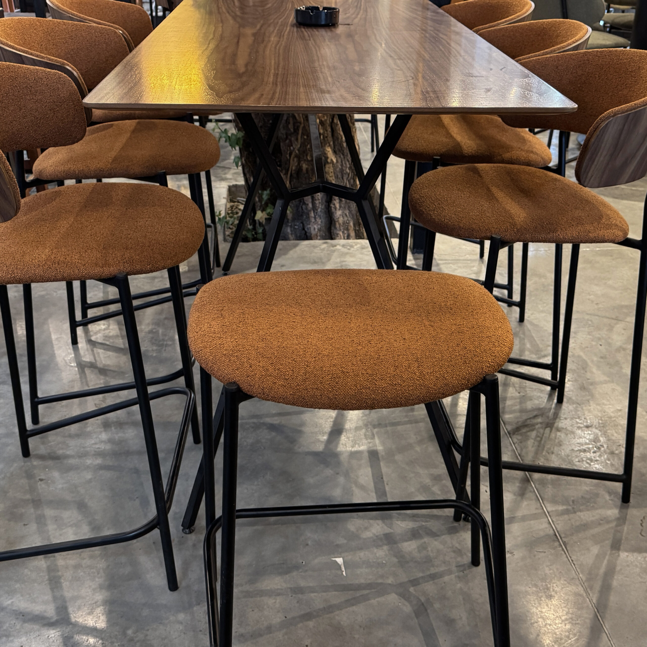 dolly orange bar yard-2